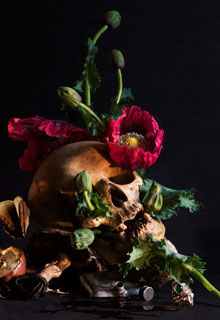 douglas-little-heretic-parfum-flaunt-magazine-set-and-scene-design